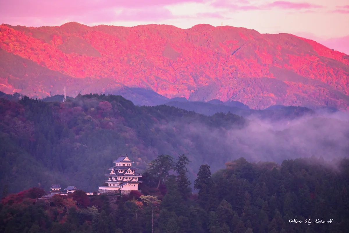 Hiromi Sakataさんの投稿写真