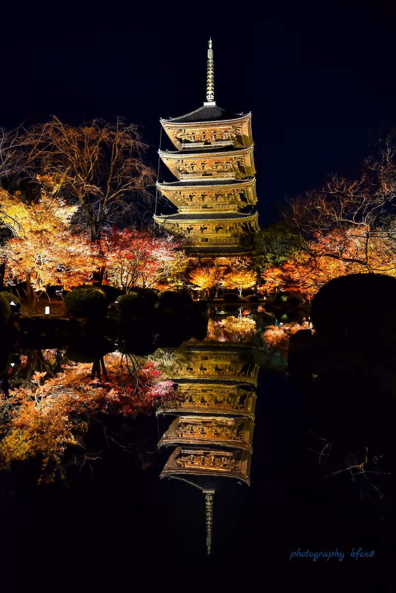 投稿写真：秋の終わり