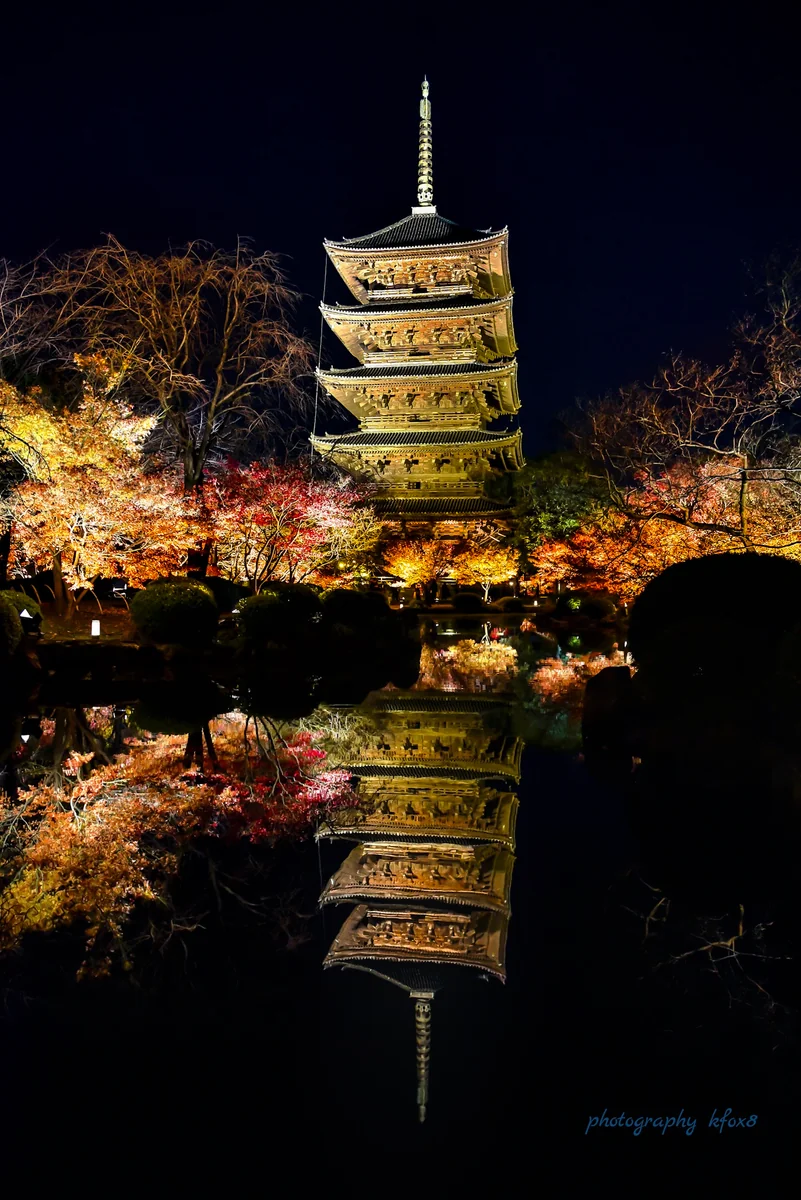 投稿写真：秋の終わり