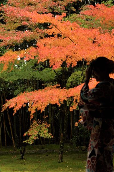  | 絶景事典