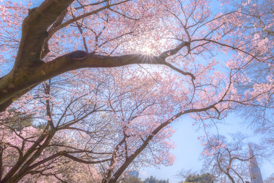  | 絶景事典