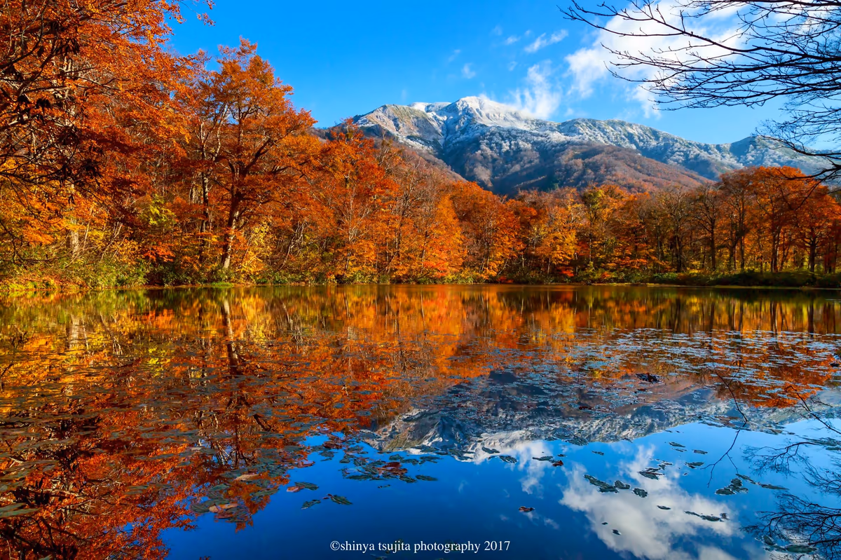 投稿写真：雪山と紅葉のリフレクション