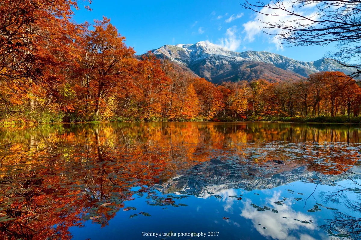 投稿写真：雪山と紅葉のリフレクション