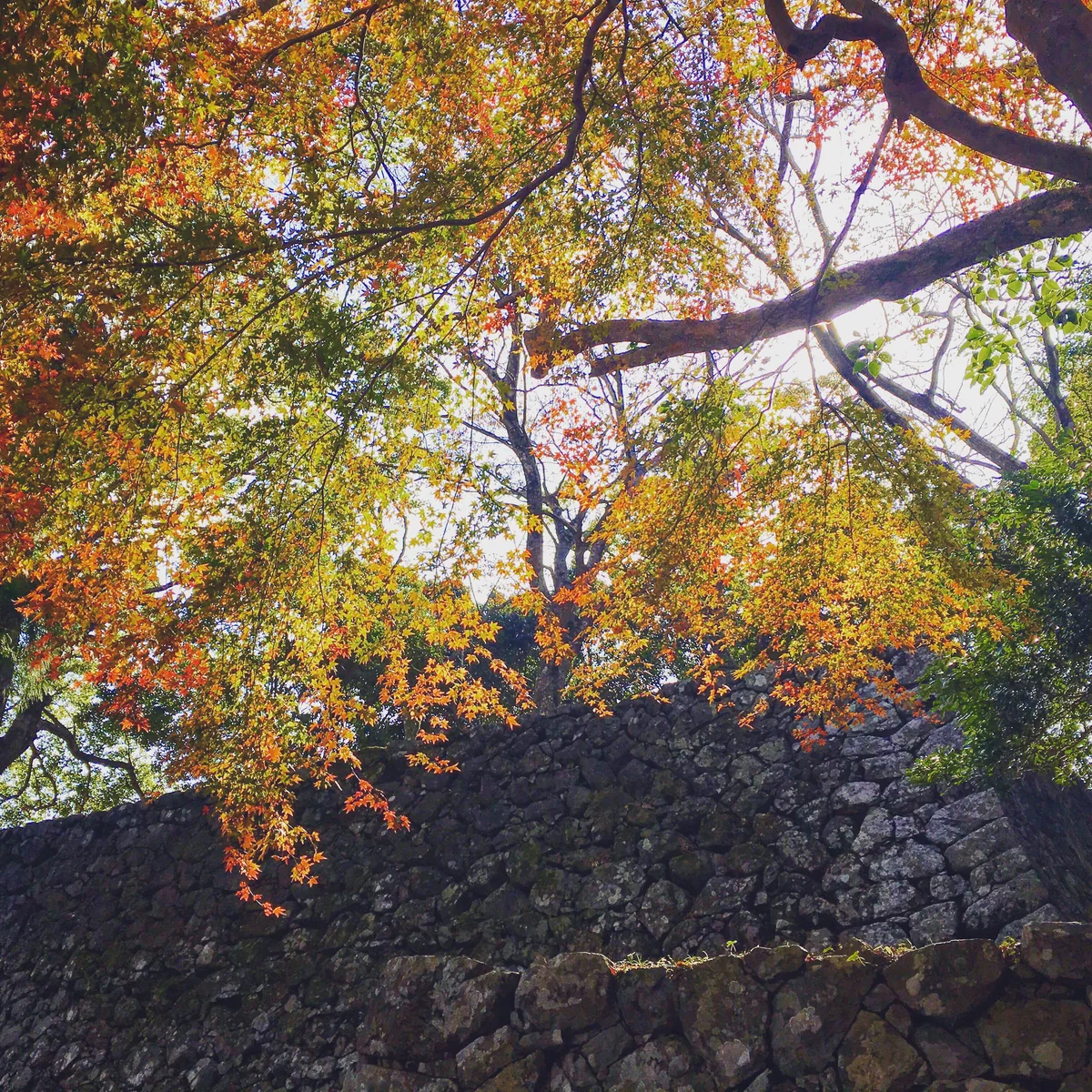 投稿写真：佐伯城