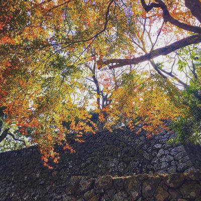  | 絶景事典