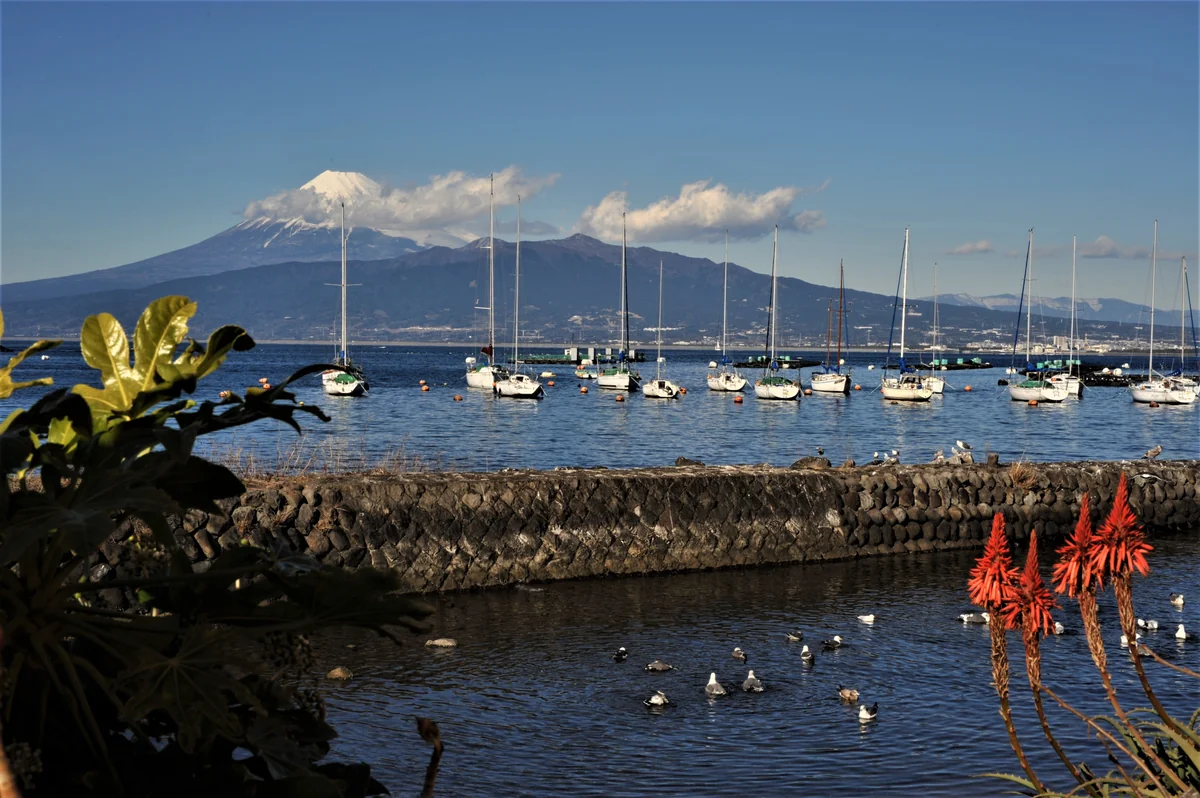 投稿写真：伊豆西海岸線からみた富士山