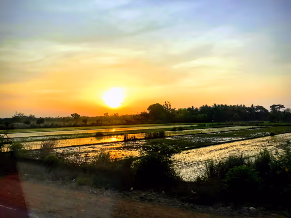 投稿：インドの夕日
