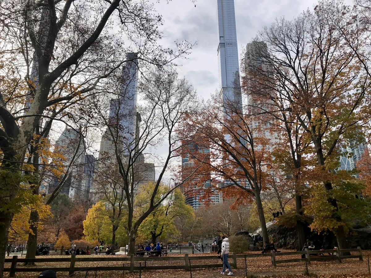 投稿写真：晩秋セントラルパーク