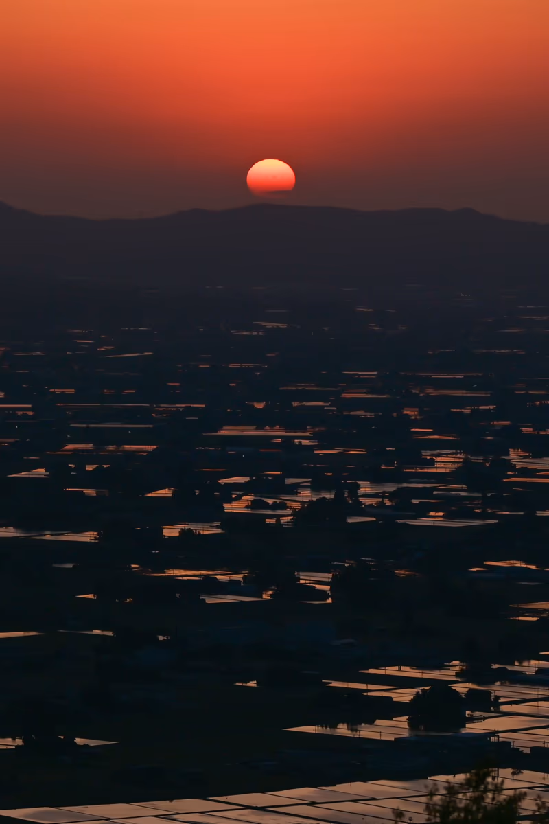投稿写真：夕日に照らされた散居村