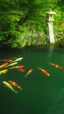  | 絶景事典