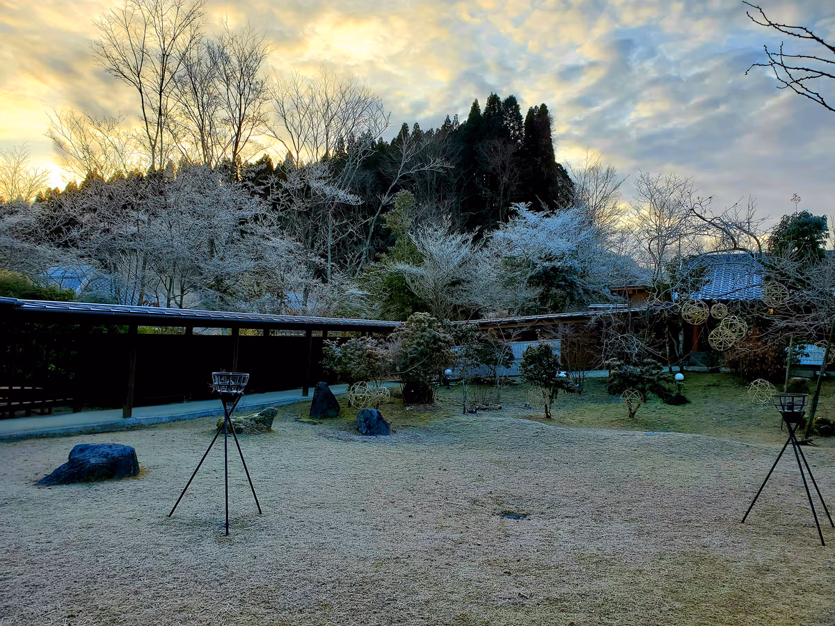 投稿写真：早朝の樹氷