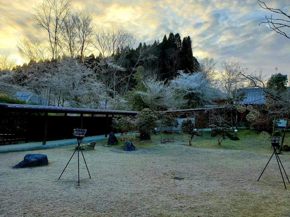 投稿写真：早朝の樹氷