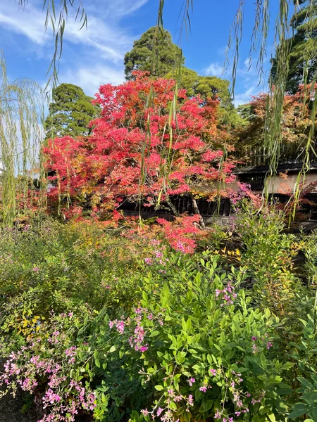 投稿：倉敷美観地区