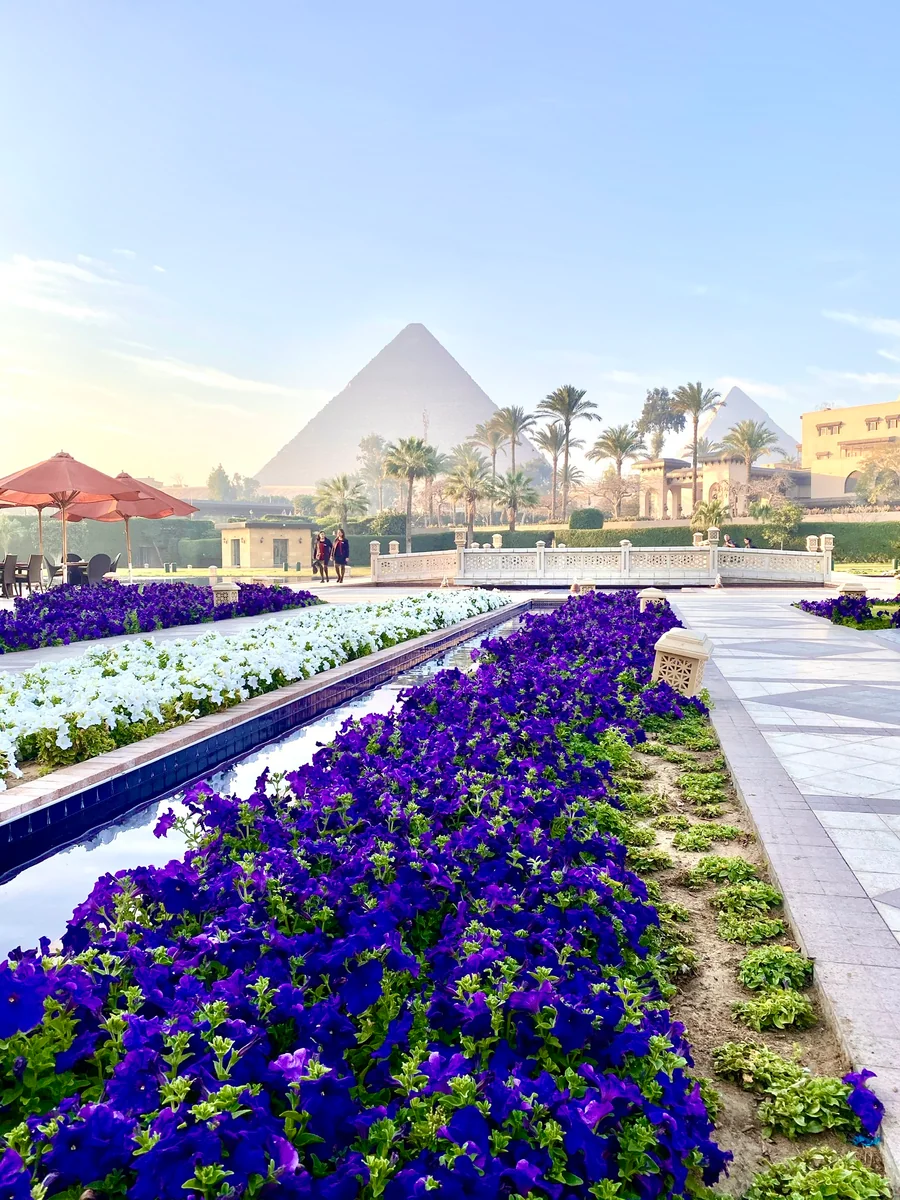 投稿写真：エジプト・カイロ