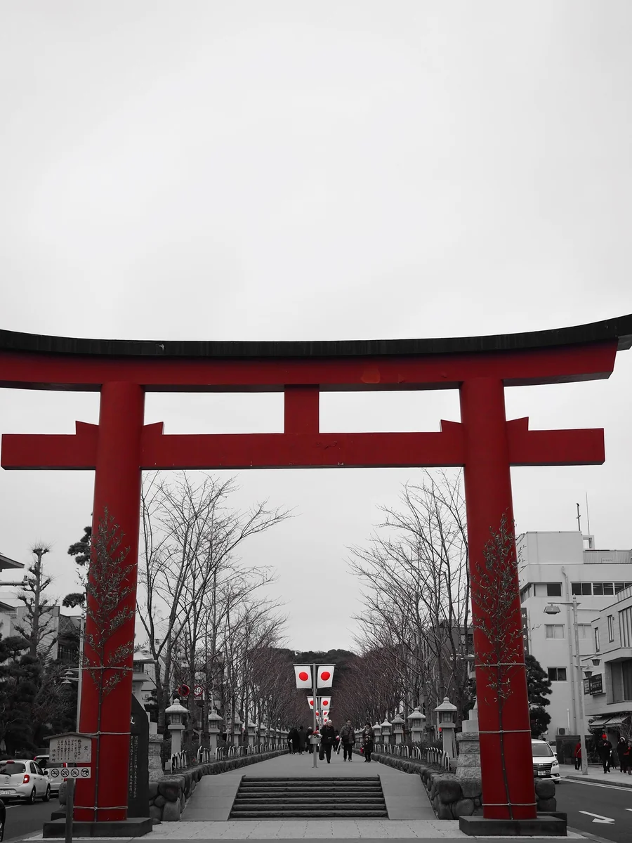 投稿写真：鶴岡八幡宮　参道