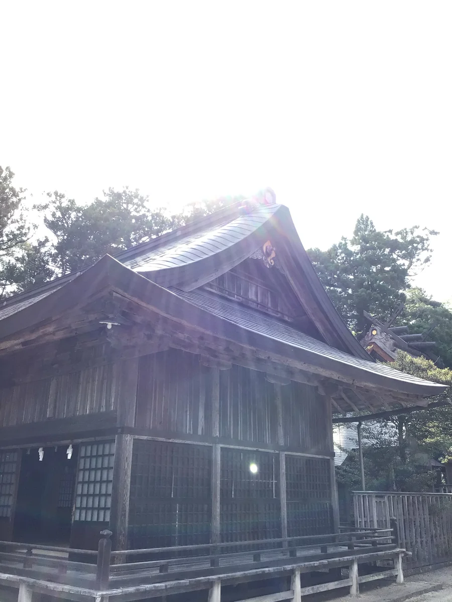 投稿写真：差し込む光