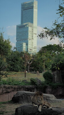  | 絶景事典