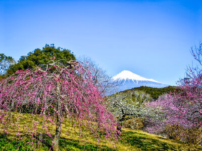  | 絶景事典