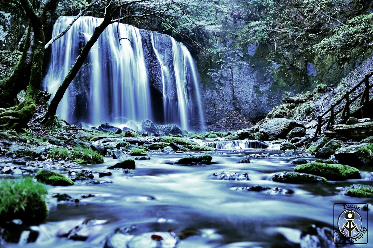 投稿写真：達沢不動滝