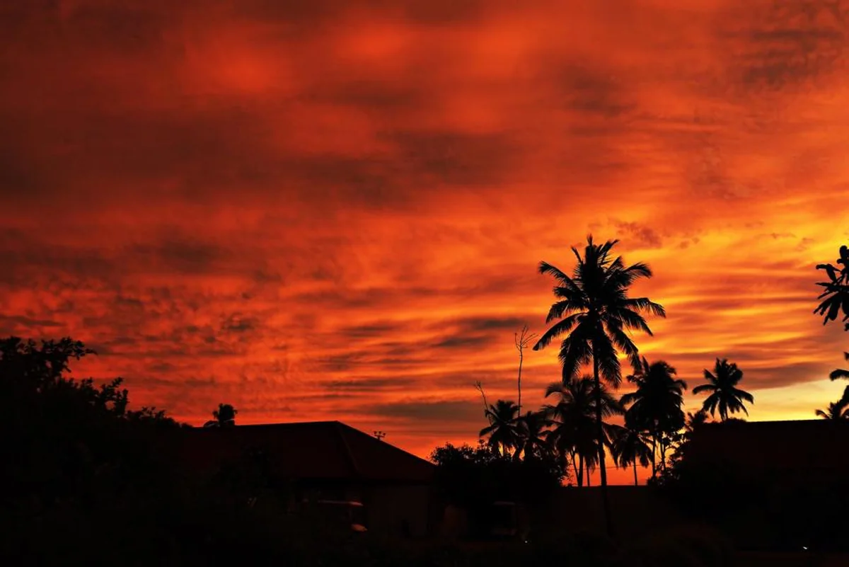 投稿写真：ニゴンボ(ラグーン）