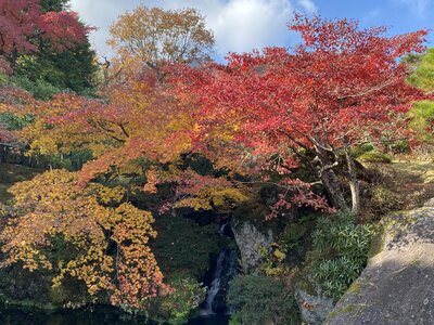  | 絶景事典