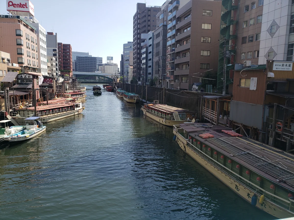 投稿写真：満を持して・・・