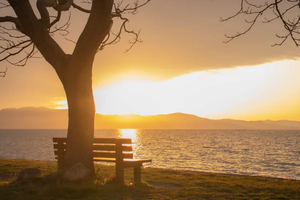 投稿：あのベンチ