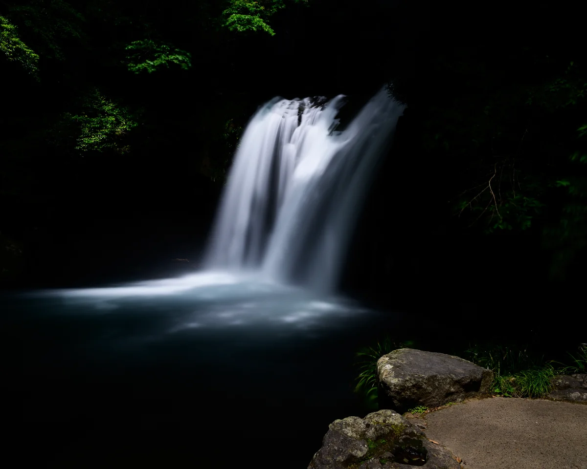 投稿写真：新緑 ノ 季節