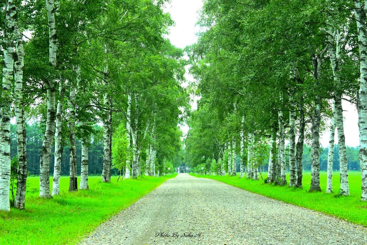 投稿写真：十勝牧場