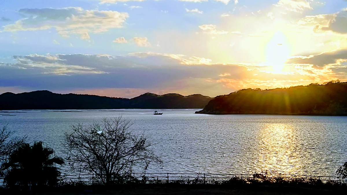 投稿写真：ｋｓ