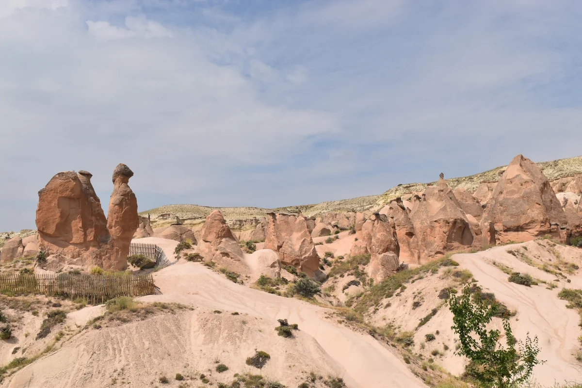 ぷち☆さんの投稿写真