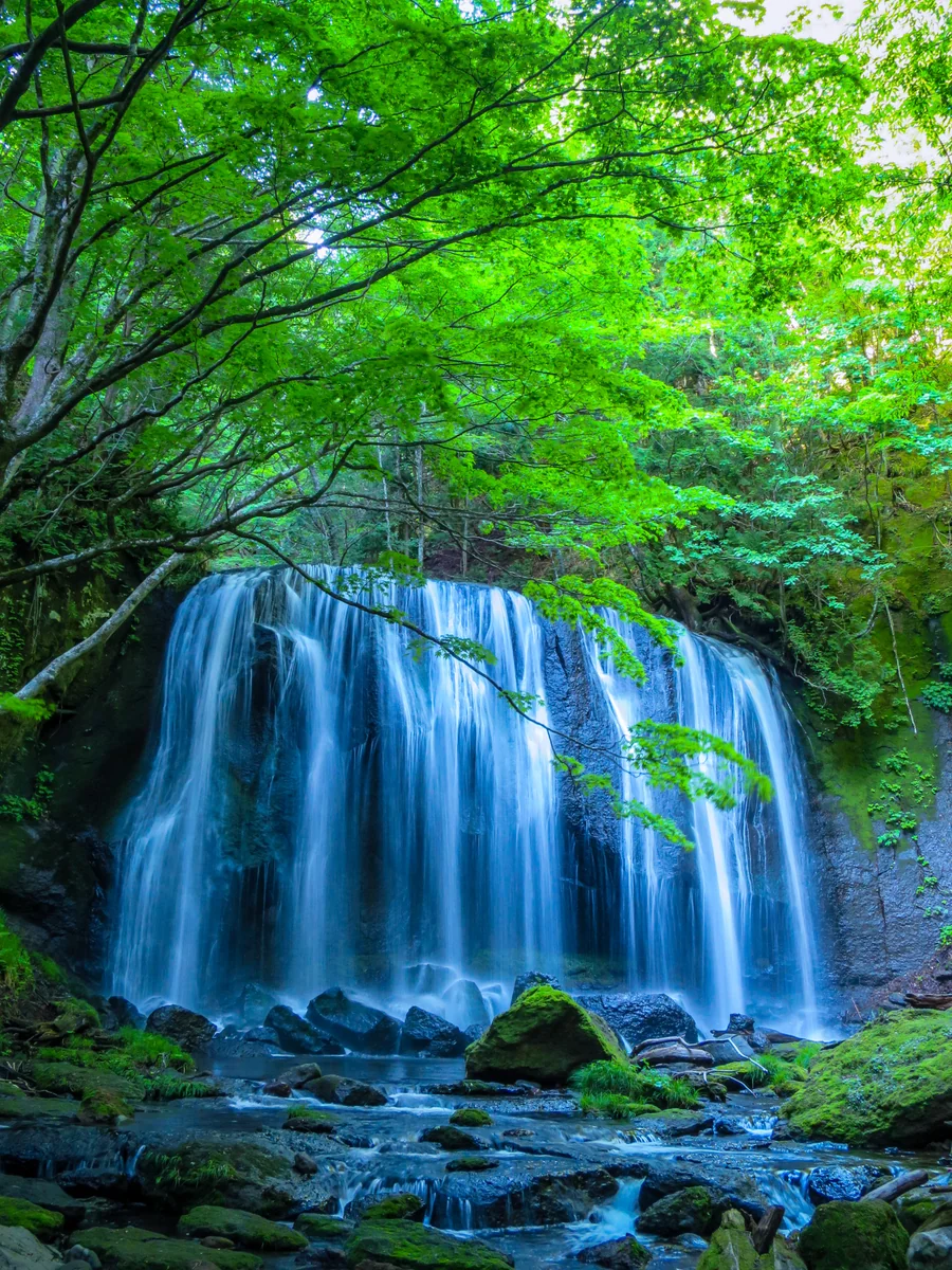 投稿写真：新緑の達沢不動滝