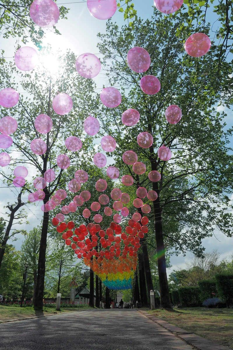 投稿写真：風船の回廊