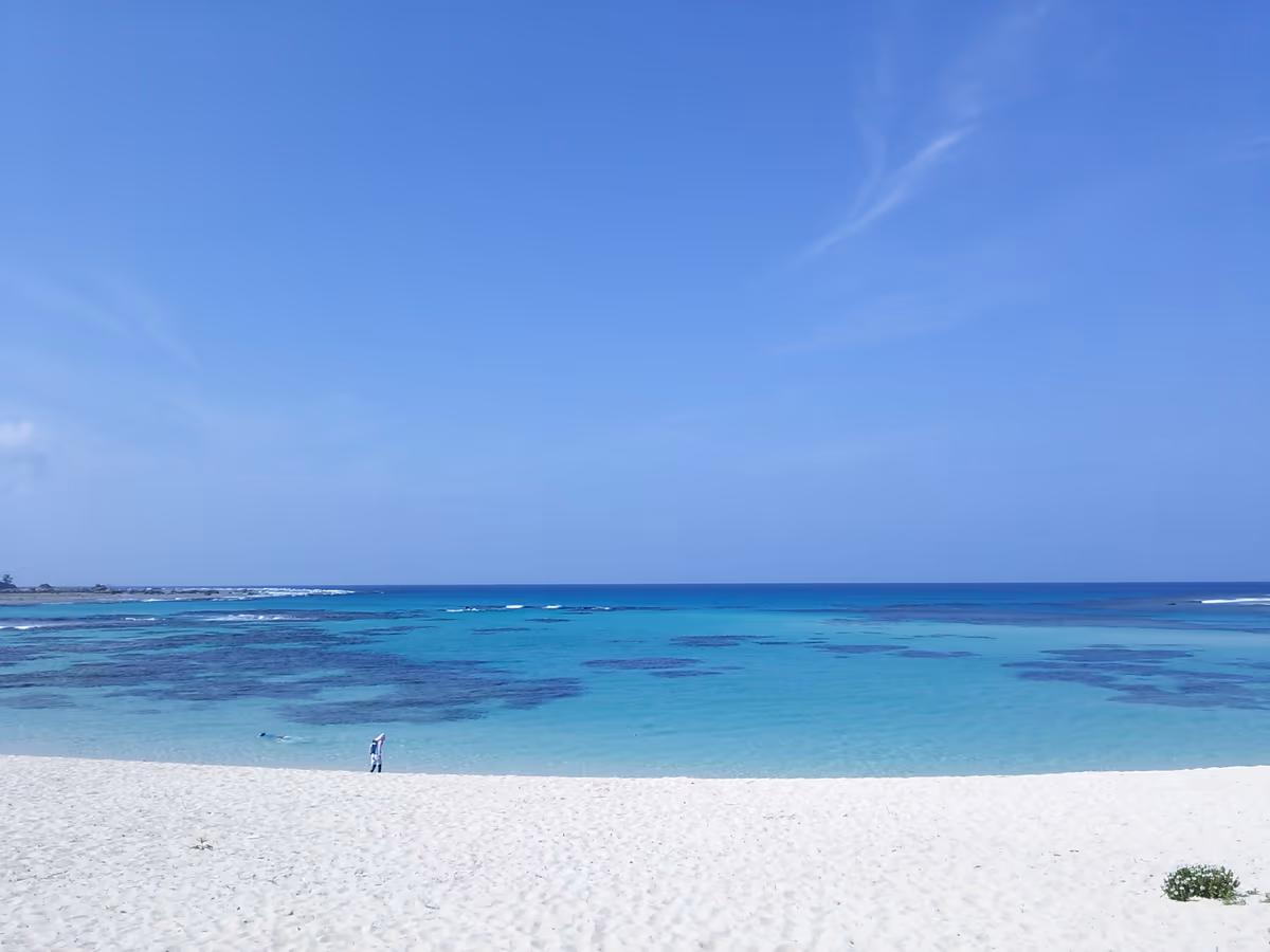 投稿写真：土盛海岸