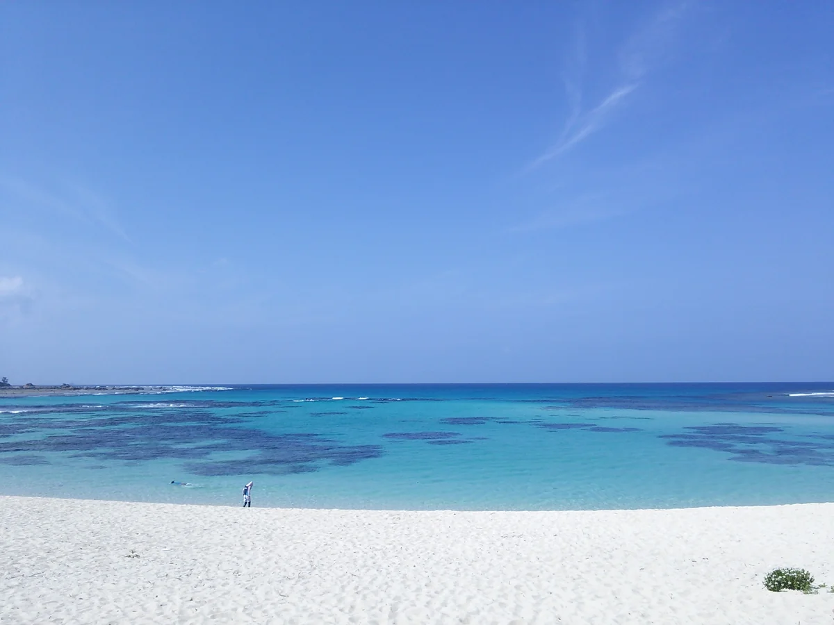 投稿写真：土盛海岸
