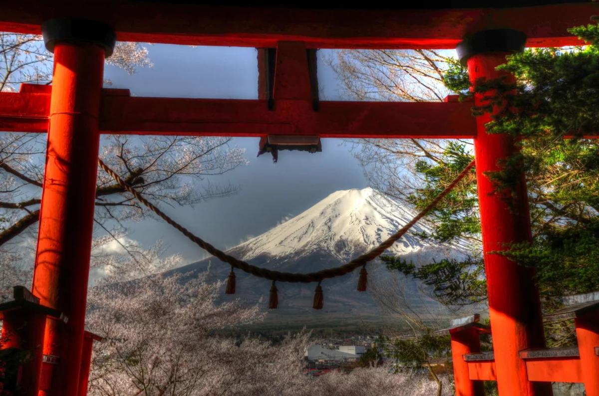 投稿写真：鳥居の向こう