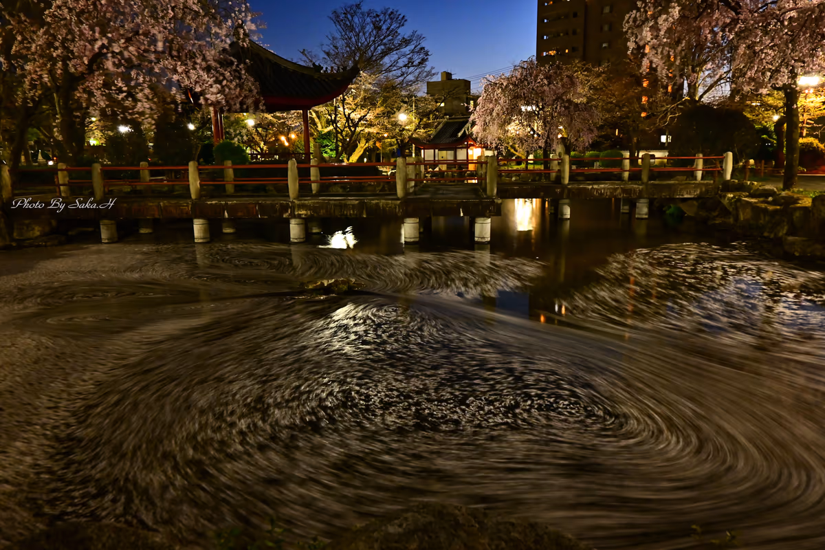 投稿写真：花筏