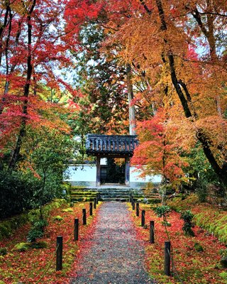  | 絶景事典