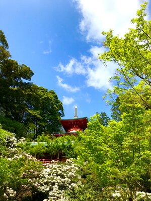  | 絶景事典