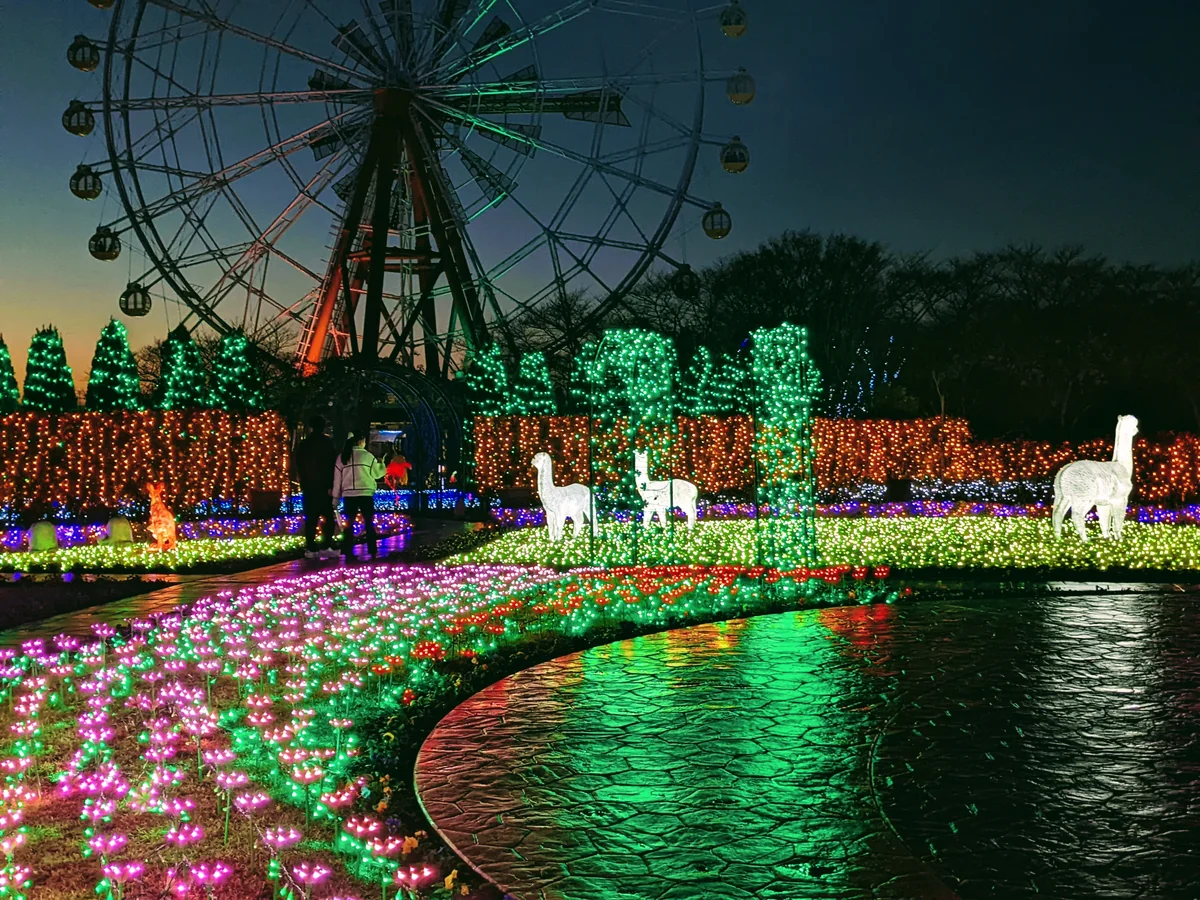 草野 友子さんの投稿写真
