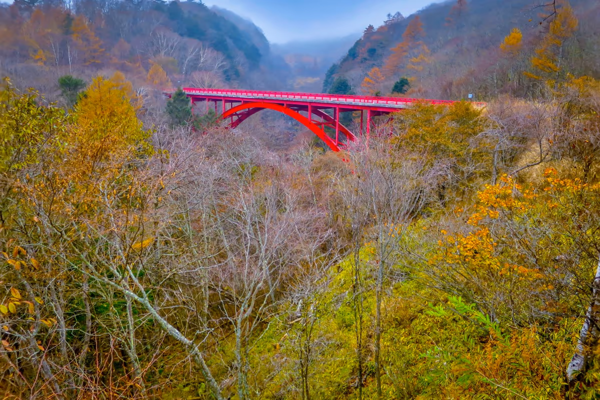投稿写真：赤いアーチ橋と紅葉