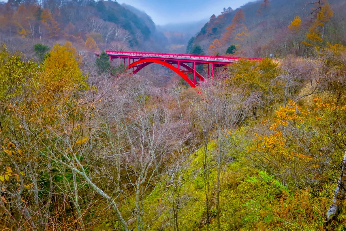 投稿写真：赤いアーチ橋と紅葉