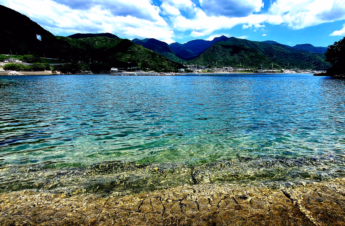 投稿写真：海の透明感