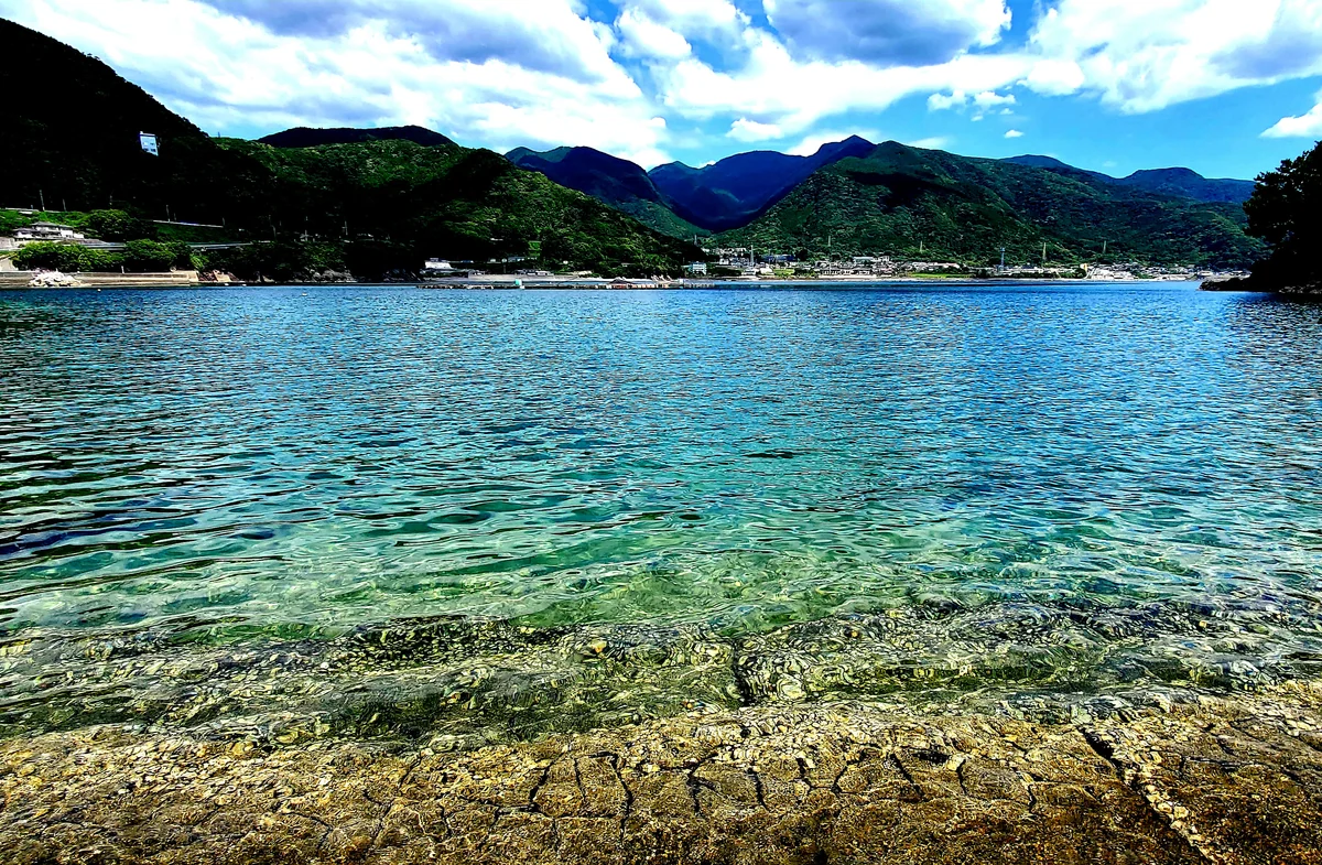 投稿写真：海の透明感