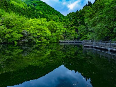  | 絶景事典