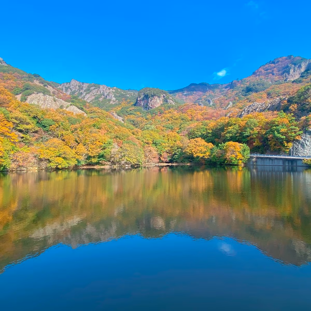 投稿写真：小豆島　寒霞渓