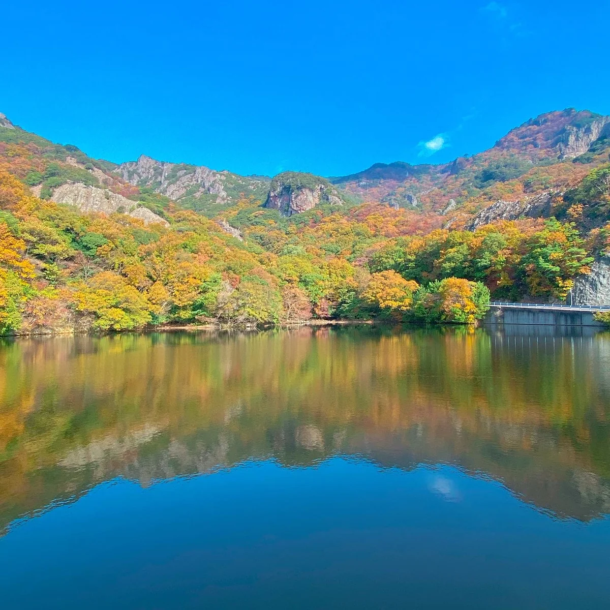 投稿写真：小豆島　寒霞渓