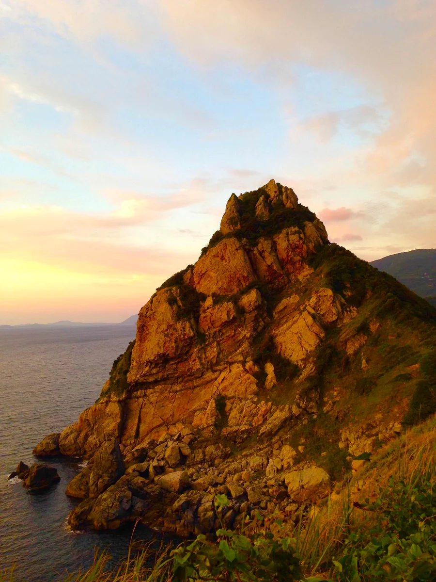 投稿写真：巨大なトトロ