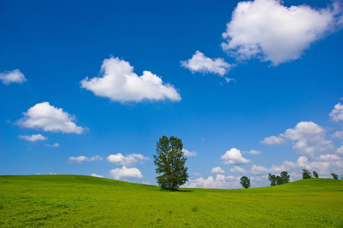 投稿写真：草原を渡る雲