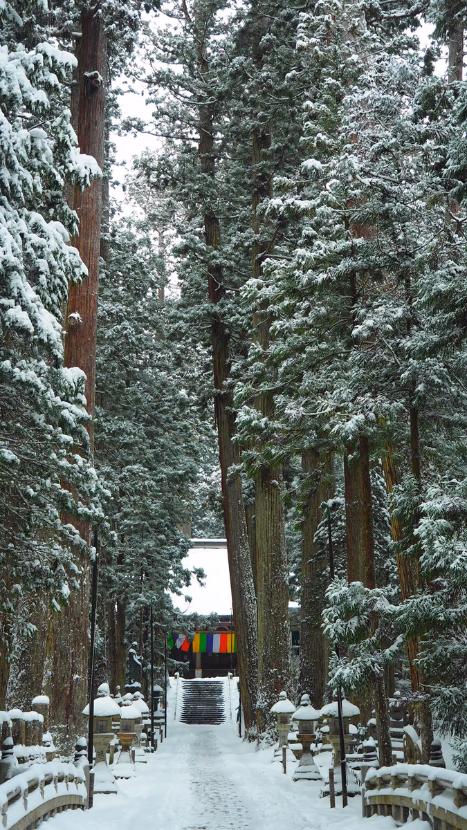 投稿写真：高野山奥の院
